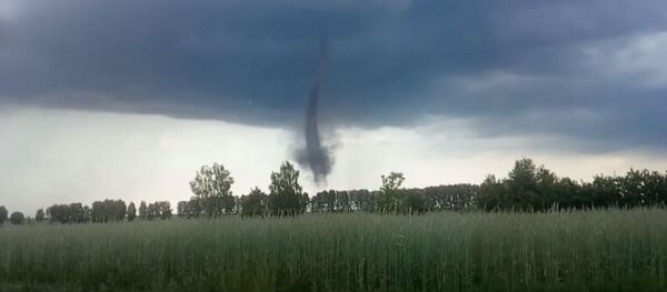 Смерч у Гомельскай вобласці Смерч у Гомельскай вобласці - Sputnik Беларусь