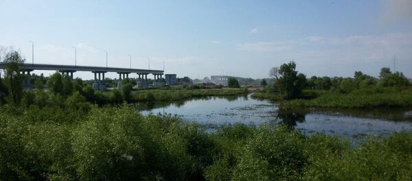 Мост через реку Припять между Житковичами и Туровом взорвали - Sputnik Беларусь