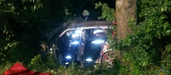 В Брестском районе Мерседес столкнулся с деревом - Sputnik Беларусь