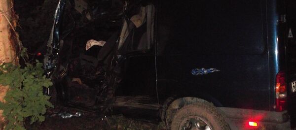 Микроавтобуса Ford Transit столкнулся с лосем - Sputnik Беларусь