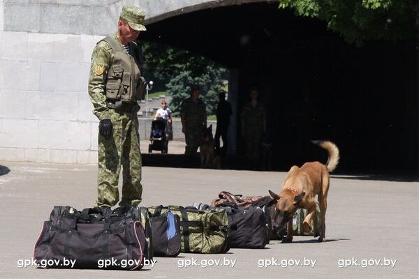 Кинологи продемонстрировали навыки своих верных четвероногих друзей - Sputnik Беларусь