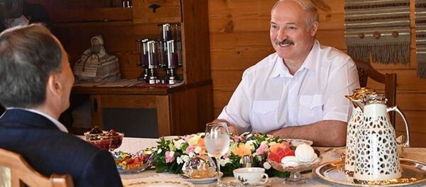 Встреча Александра Лукашенко и зампредседателя КНР Ван Цишаня - Sputnik Беларусь