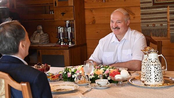 Встреча Александра Лукашенко и зампредседателя КНР Ван Цишаня - Sputnik Беларусь