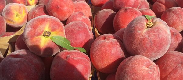 Персики - Sputnik Беларусь