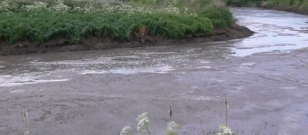 Река Гольшанка - Sputnik Беларусь