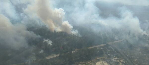 Лесной пожар в Чернобыльской зоне - Sputnik Беларусь