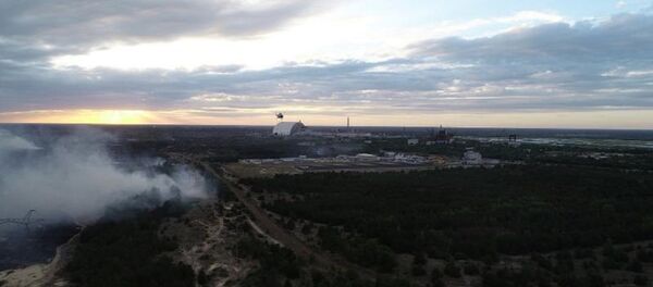 Пожар в зоне отчуждения - Sputnik Беларусь