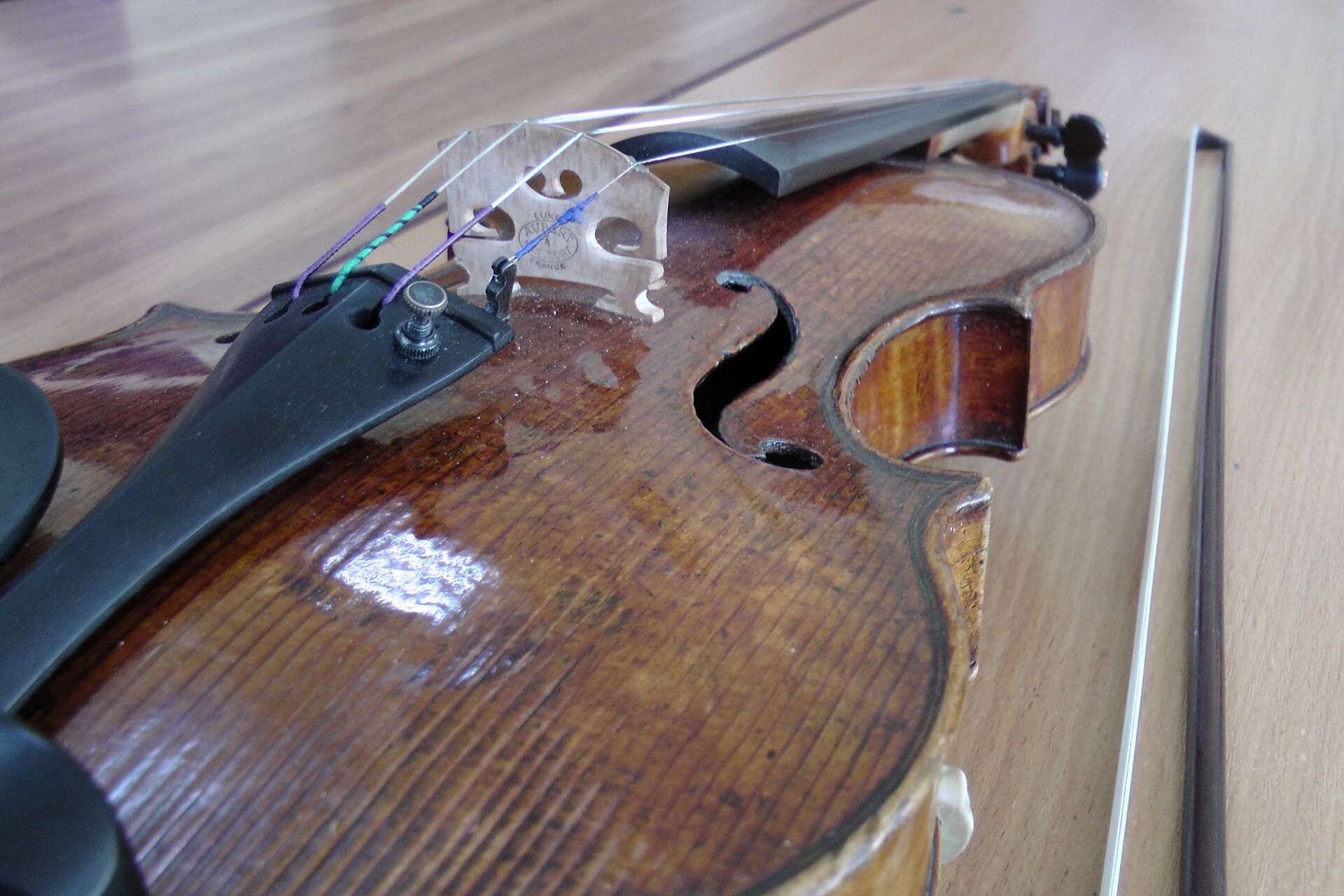 Скрипка Андреа Гварнери, которая хранится в Белорусской академии музыки, была приобретена для того, чтобы одерживать победы - Sputnik Беларусь, 1920, 21.03.2023