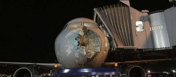 Самолет с разбитым носом удалось посадить пилотам компании American Airlines - Sputnik Беларусь