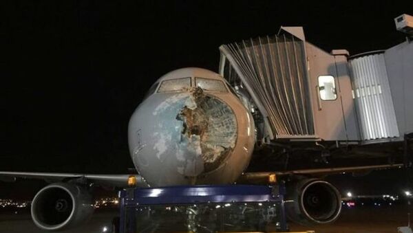 Самолет с разбитым носом удалось посадить пилотам компании American Airlines - Sputnik Беларусь