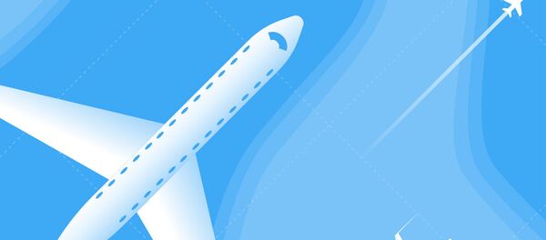 Правила поведения авиапассажира – инфографика на sputnik.by - Sputnik Беларусь