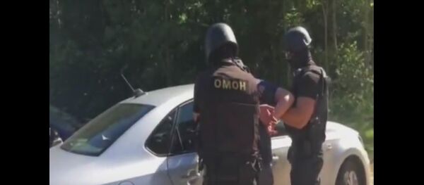 Кадры жесткого задержания ОМОНом поляка, перевозившего экстази - Sputnik Беларусь