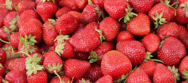 Клубника на Комаровском рынке - Sputnik Беларусь