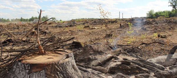 Место пожара - Sputnik Беларусь