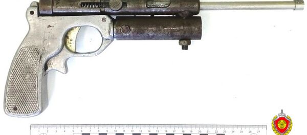 Изъятый пистолет - Sputnik Беларусь