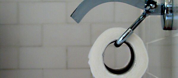 Туалетная бумага Туалетная бумага - Sputnik Беларусь