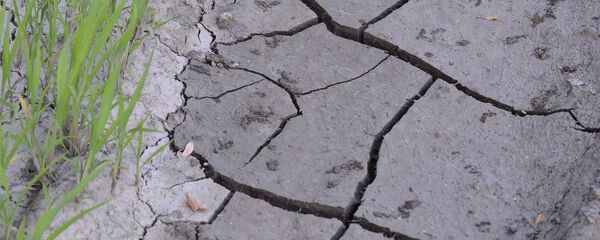 Высохшая земля - Sputnik Беларусь