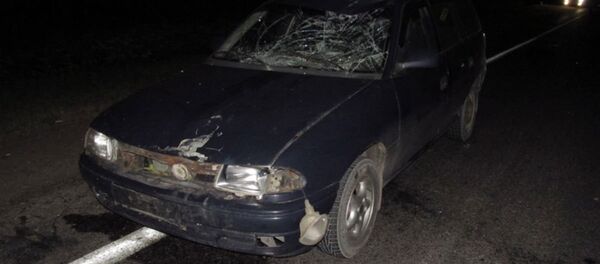 Водитель Opel не заметил велосипедиста и сбил его - Sputnik Беларусь