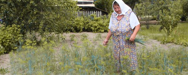 Сохнет, дохнет огород, - причитает Лариса Ивановна - Sputnik Беларусь