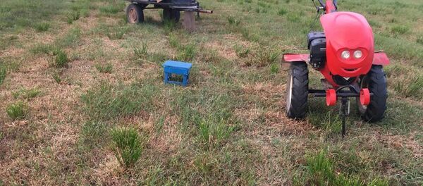 Место ЧП - Sputnik Беларусь