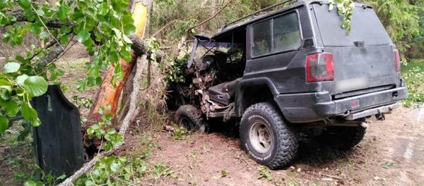 ДТП в пуще - Sputnik Беларусь