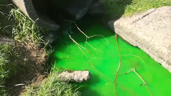 Ярко-зеленая жидкость выливается в Чижовское водохранилище - Sputnik Беларусь