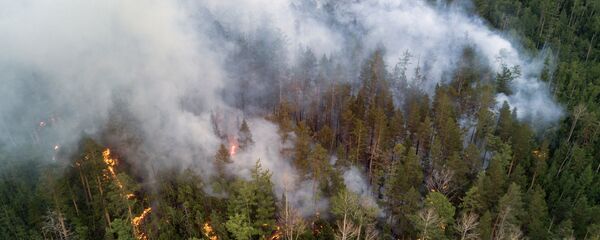 Лесной пожар, архивное фото - Sputnik Беларусь