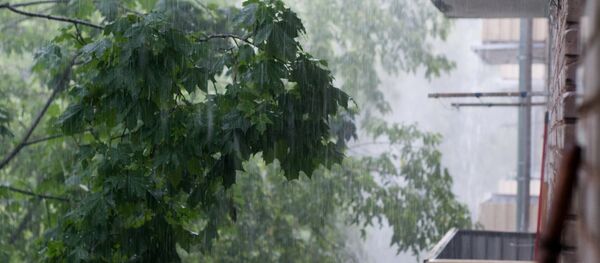 Дождж, архіўнае фота Дождж, архіўнае фота - Sputnik Беларусь
