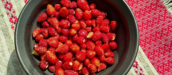 Суніцы - Sputnik Беларусь