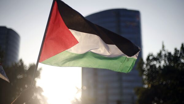 Флаг Палестины, архивное фото - Sputnik Беларусь
