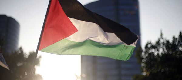 Флаг Палестины, архивное фото - Sputnik Беларусь
