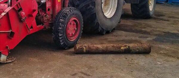 Бревно, убившее сельчанина - Sputnik Беларусь