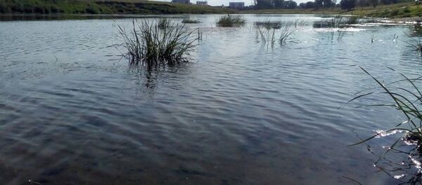 Место ЧП в Могилеве - Sputnik Беларусь