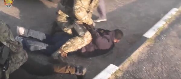 МВД показало, как задержали организатора фанатского канала нелегалов - Sputnik Беларусь