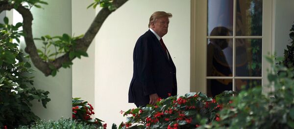 Президент США Дональд Трамп - Sputnik Беларусь