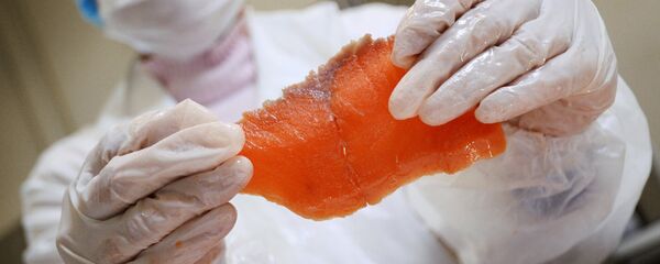 Предприятие по переработке рыбы - Sputnik Беларусь