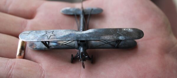 Самолет сразу после процесса патинирования - Sputnik Беларусь