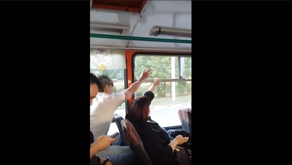 Битва за окно в троллейбусе - видео - Sputnik Беларусь