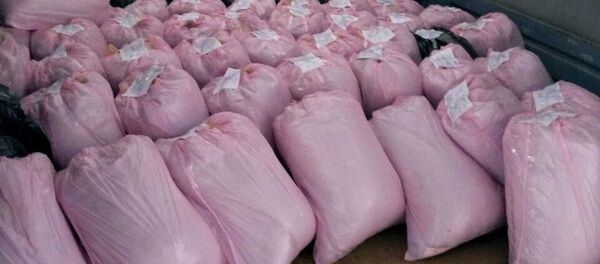 Правоохранителями пресечен канал поставки наркотических средств в Беларусь - Sputnik Беларусь