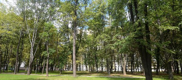 Грушаўскі сквер Грушаўскі сквер - Sputnik Беларусь