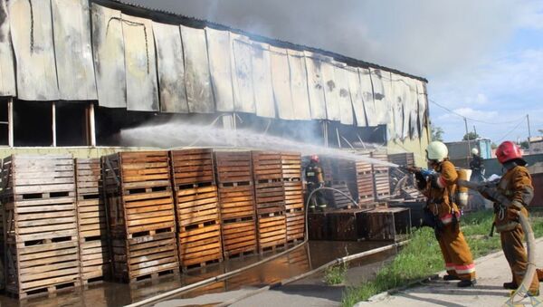 Ликвидация пожара в производственном цехе в Борисове - Sputnik Беларусь