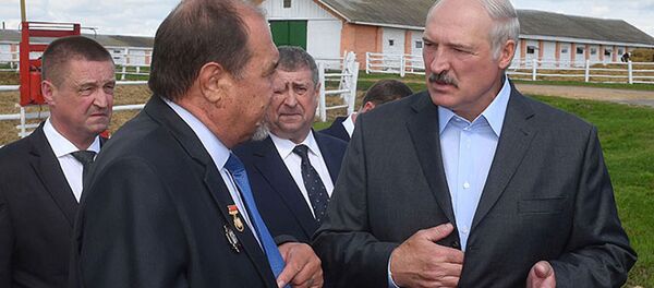 Александр ЛУкашенко в Белыничском районе Александр ЛУкашенко в Белыничском районе - Sputnik Беларусь