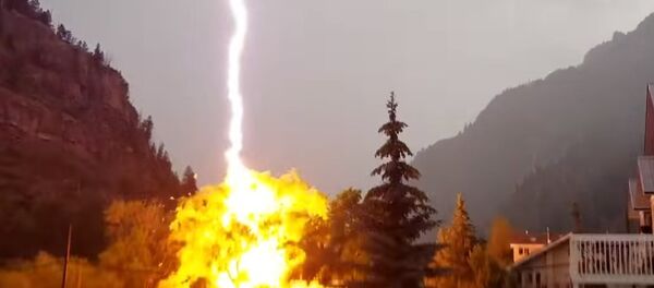 Молния ударила в дерево (видео) - Sputnik Беларусь