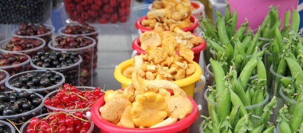 Грибы и ягоды, архивное фото - Sputnik Беларусь