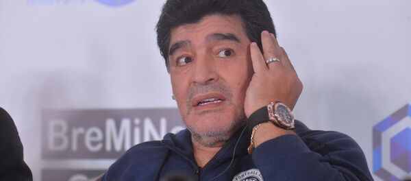 Первая пресс-конференция Диего Марадоны в Бресте - Sputnik Беларусь