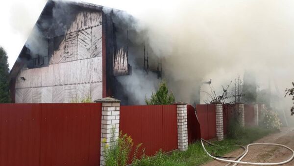 Кошка сообщила о пожаре на дачах в Минском районе - Sputnik Беларусь