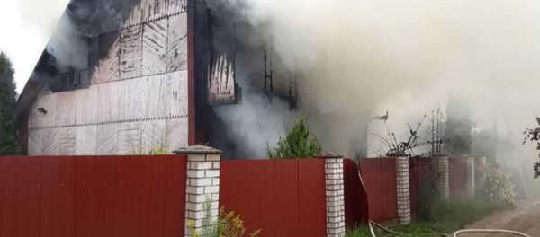 Кошка сообщила о пожаре на дачах в Минском районе Кошка сообщила о пожаре на дачах в Минском районе - Sputnik Беларусь