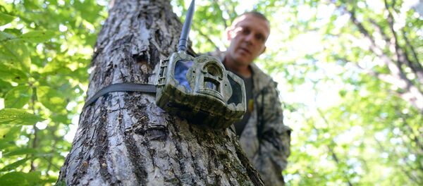 Егерь устанавливает фотоловушку - Sputnik Беларусь