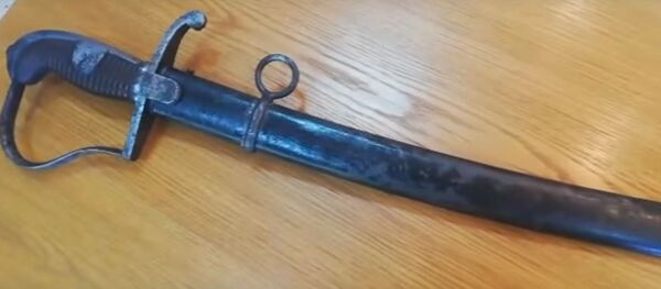 Таможенники изъяли старинную саблю на границе, видео - Sputnik Беларусь