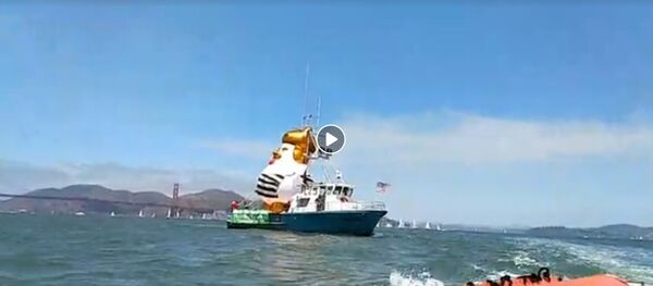 Трампа снова троллят: его превратили в цыпленка и одели в тюремную робу - Sputnik Беларусь